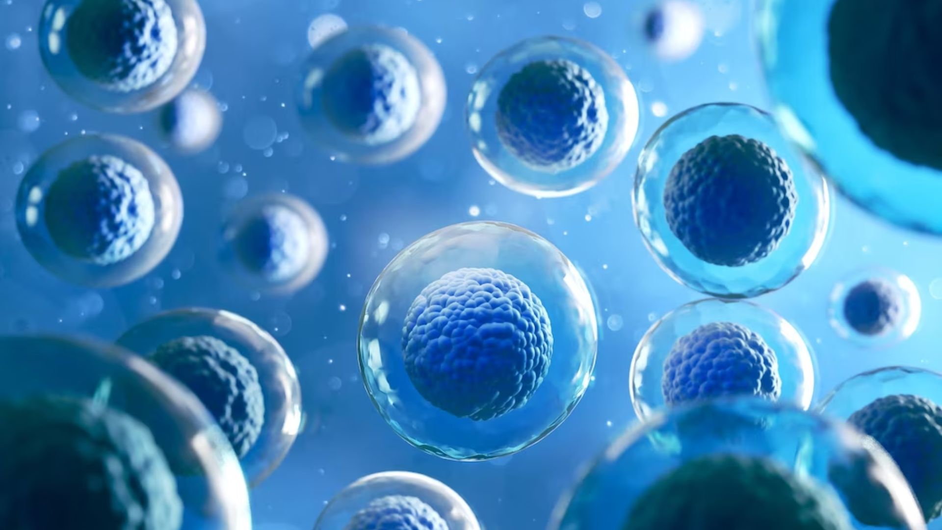 Reserva Ovárica y su impacto en la fertilidad: ¿A qué edad debo preocuparme?