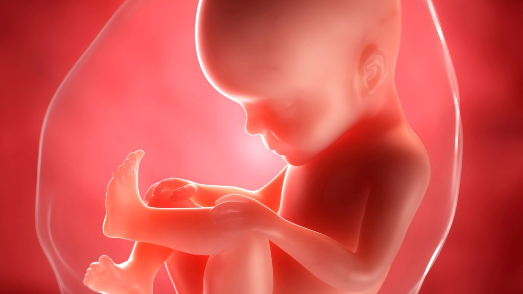 Líquido amniótico ¿Por qué es tan importante en el embarazo?