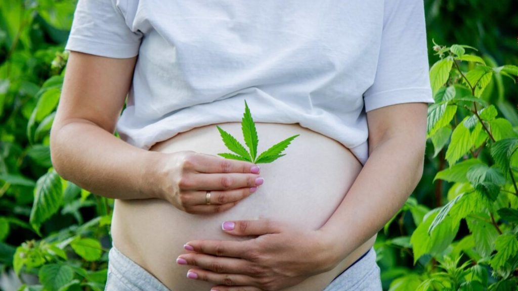 Embarazo y marihuana: Afecta las capacidades cognitivas del bebé y su peso