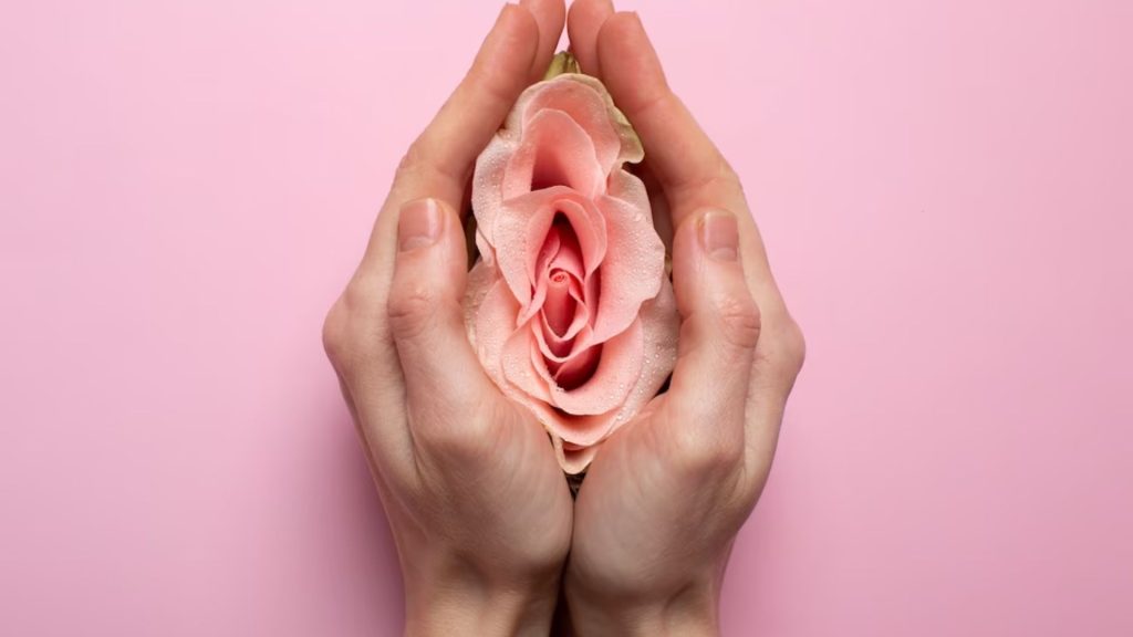 Bartolinitis: ¿pequeña inflamación en los labios de la vagina?